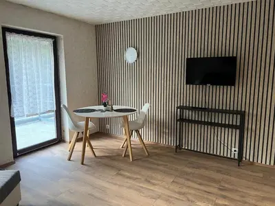 TV/Unterhaltungsangebot in der Unterkunft Light-flooded 2-room apartment with balcony