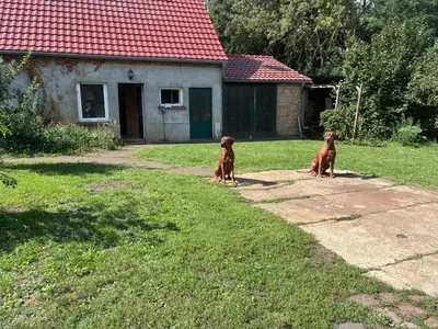 Ein Garten an der Unterkunft Alte Schule Rietz