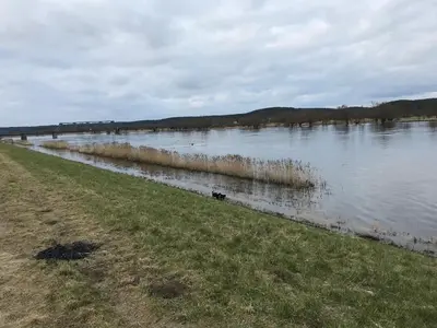 Naturlandschaft in der Nähe der Ferienwohnung