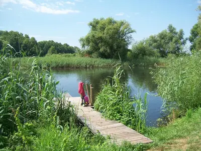 Naturlandschaft in der Nähe der Ferienwohnung