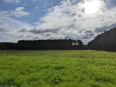 Naturlandschaft in der Nähe des Ferienhauses