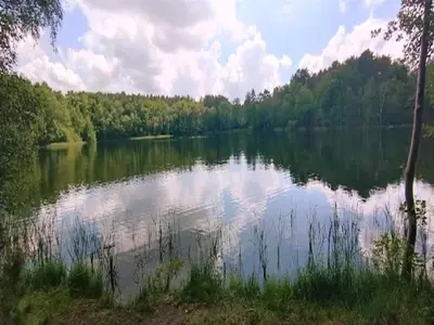 Naturlandschaft in der Nähe des Ferienhauses
