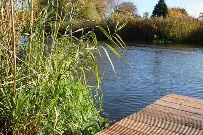 Blick auf einen Fluss in der Nähe der Ferienwohnung