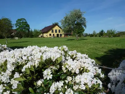 Grundriss der Unterkunft Carol's Country-House