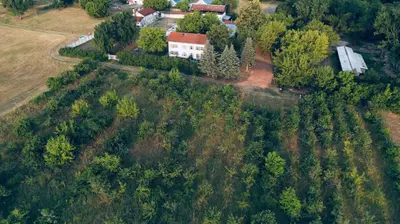 Naturlandschaft in der Nähe des Ferienhauses
