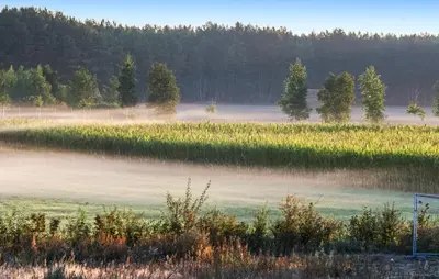 Naturlandschaft in der Nähe des Ferienhauses