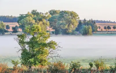 Naturlandschaft in der Nähe des Ferienhauses