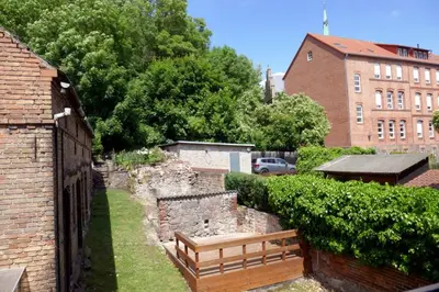 Ein Garten an der Unterkunft Blaue Gans