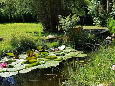 Ein Garten an der Unterkunft Holiday home with 3 bedrooms