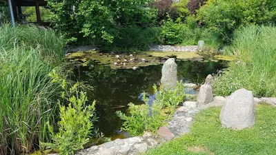 Ein Garten an der Unterkunft Gemütliche 2-Zimmer-Ferienwohnung mit Garten
