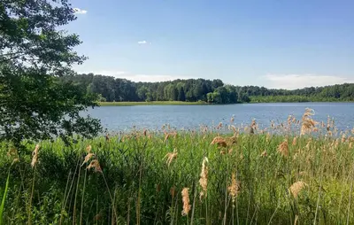Naturlandschaft in der Nähe des Ferienhauses