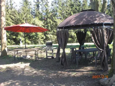 Ein Garten an der Unterkunft tillis ferienwohnung teschendorfersee 17094 burgstargard
