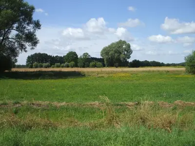 Naturlandschaft in der Nähe des Ferienhauses
