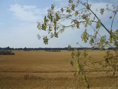 Naturlandschaft in der Nähe des Ferienhauses