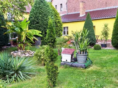 Ein Garten an der Unterkunft Apartment Gemütliche Wohnung mit Terrasse by Interhome