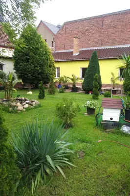 Ein Garten an der Unterkunft Apartment Gemütliche Wohnung mit Terrasse by Interhome