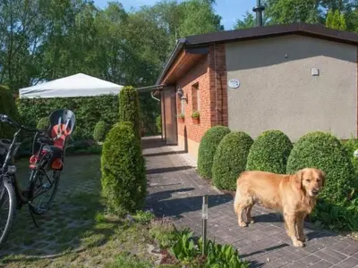 Haustiere von Gästen der Unterkunft Holiday Home in Alt-Schadow mit Grill und Terrasse by Interhome