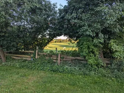 Ein Garten an der Unterkunft Holiday Home in Berkenlatten mit Großer Terrasse by Interhome