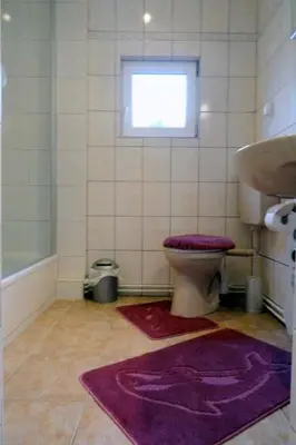 Ein Badezimmer in der Unterkunft Holiday Home in Müggelheim mit eigener Terrasse by Interhome