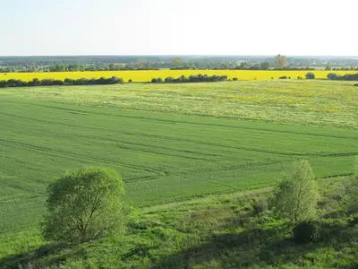 Naturlandschaft in der Nähe des Ferienhauses