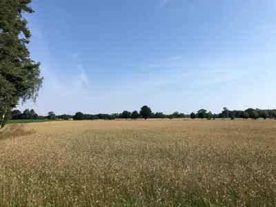 Naturlandschaft in der Nähe des Ferienhauses