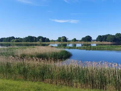 Naturlandschaft in der Nähe der Ferienwohnung
