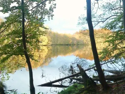 Naturlandschaft in der Nähe des Ferienhauses