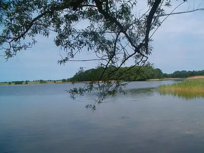 Naturlandschaft in der Nähe des Ferienhauses