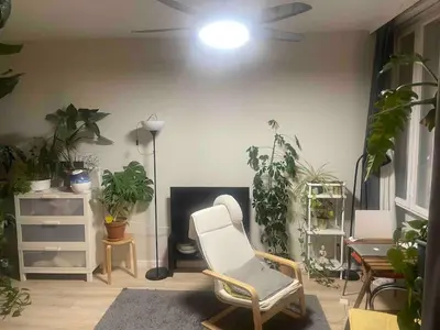 Ein Sitzbereich in der Unterkunft Cozy, green studio with a balcony in Berlin
