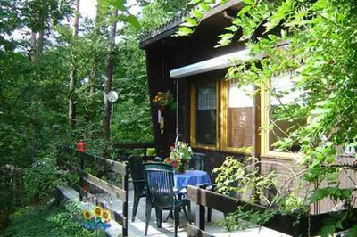 Ein Garten an der Unterkunft Ferienhaus beim Stechlinsee