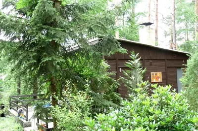 Ein Garten an der Unterkunft Ferienhaus beim Stechlinsee