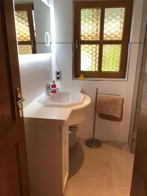 Ein Badezimmer in der Unterkunft Blockhaus am Waldrand
