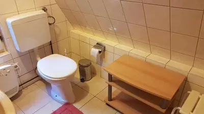 Ein Badezimmer in der Unterkunft Finnhütte am Lübbesee