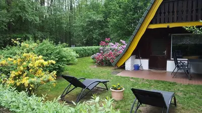 Ein Garten an der Unterkunft Finnhütte am Lübbesee