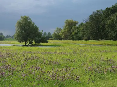 Naturlandschaft in der Nähe der Ferienwohnung
