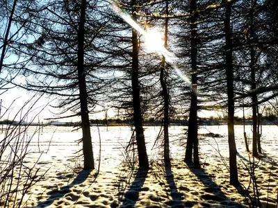 Naturlandschaft in der Nähe des Privatzimmers