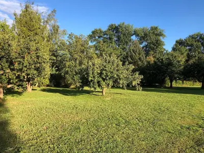 Ein Garten an der Unterkunft Auszeit Haus am See