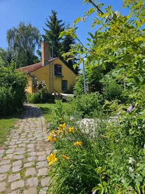 Ein Garten an der Unterkunft Ferienwohnung am Rosenbusch