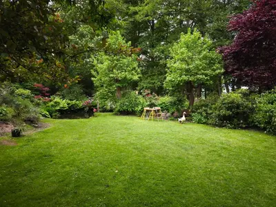 Ein Garten an der Unterkunft See-Haus, Arboretum & Sauna am Plessower-See