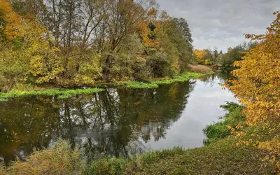 Naturlandschaft in der Nähe der Ferienwohnung
