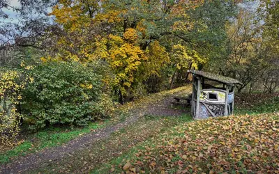 Ein Garten an der Unterkunft Gästehaus Barthel