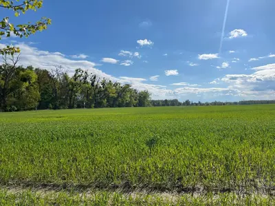 Naturlandschaft in der Nähe der Ferienwohnung