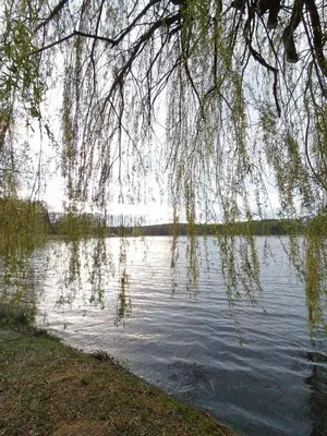 Naturlandschaft in der Nähe des Ferienhauses