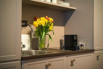 Küche/Küchenzeile in der Unterkunft Luxusapartment am Rosenthaler Platz - AP1