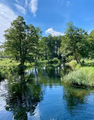 Naturlandschaft in der Nähe der Ferienwohnung
