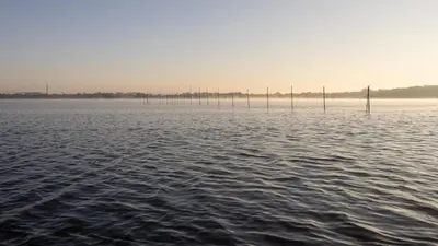 Naturlandschaft in der Nähe des Bootes