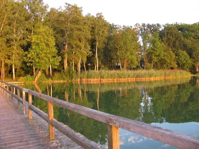 Naturlandschaft in der Nähe der Ferienwohnung