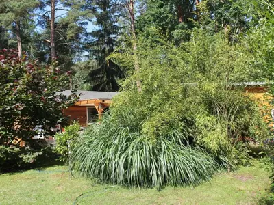 Ein Garten an der Unterkunft Holiday Home Bungalow Waldidyll by Interhome