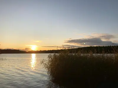 Naturlandschaft in der Nähe des Ferienhauses