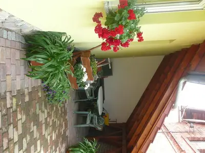 Ein Garten an der Unterkunft Landurlaub in Schiebsdorf